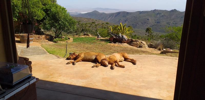4 Bedroom Property for Sale in Piketberg Rural Western Cape